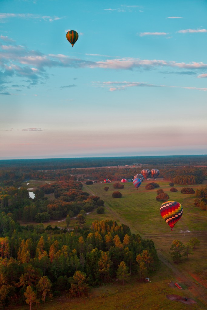 balloons in the air -vertical