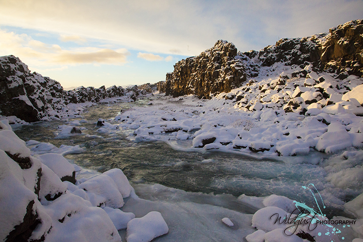 Pingviller National Park - Winter river IMG_2082rtl1