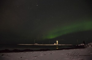 IMG_2372w2