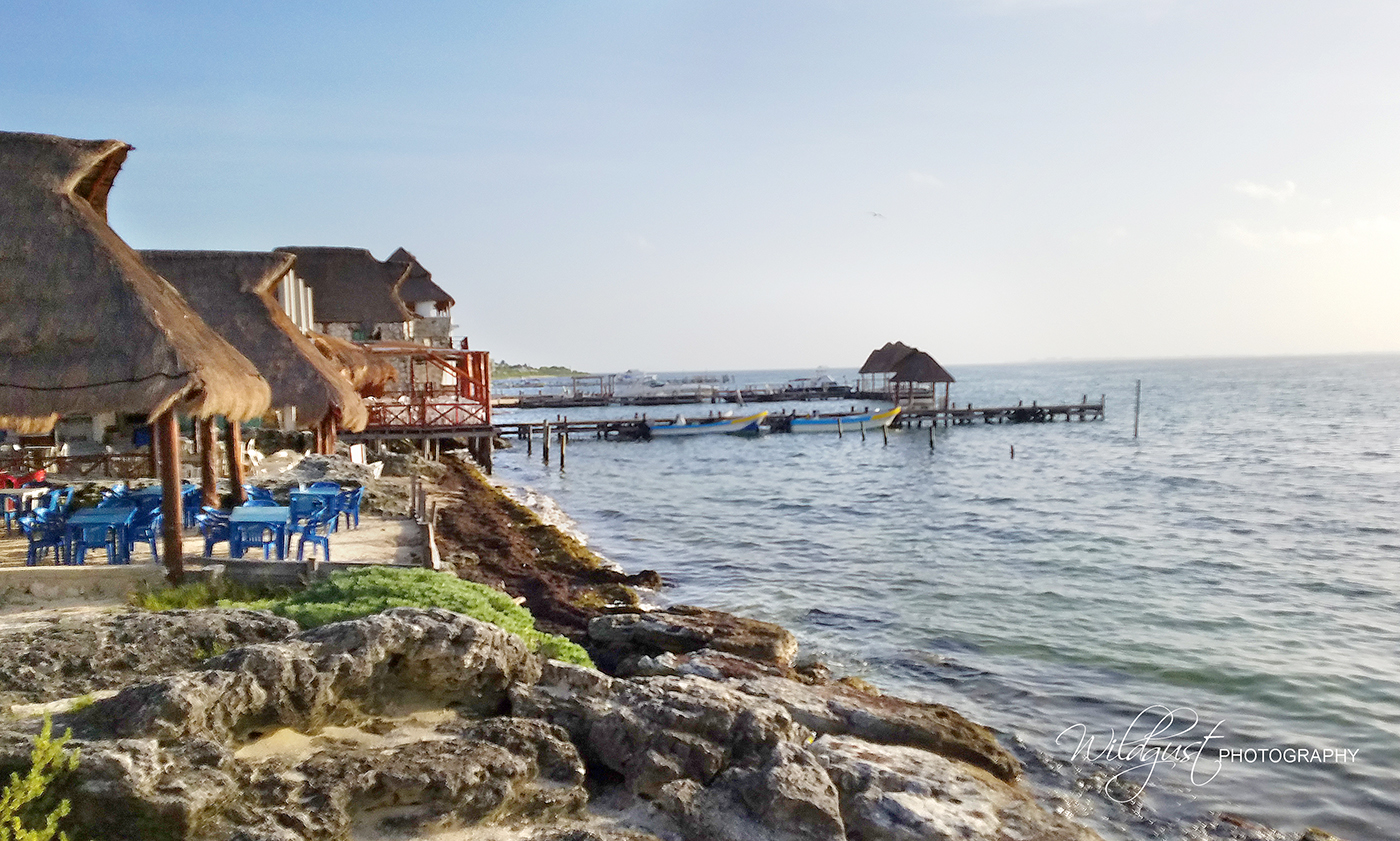 Whalesharktour.Marina.Holbox073509w