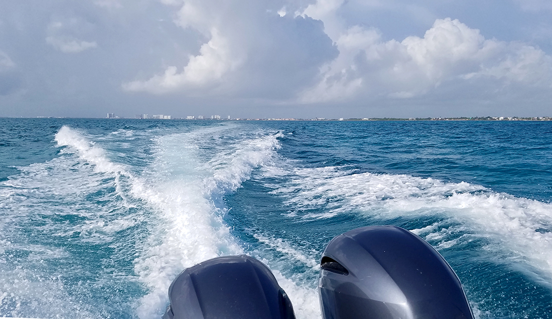 whalesharktour.water084155w