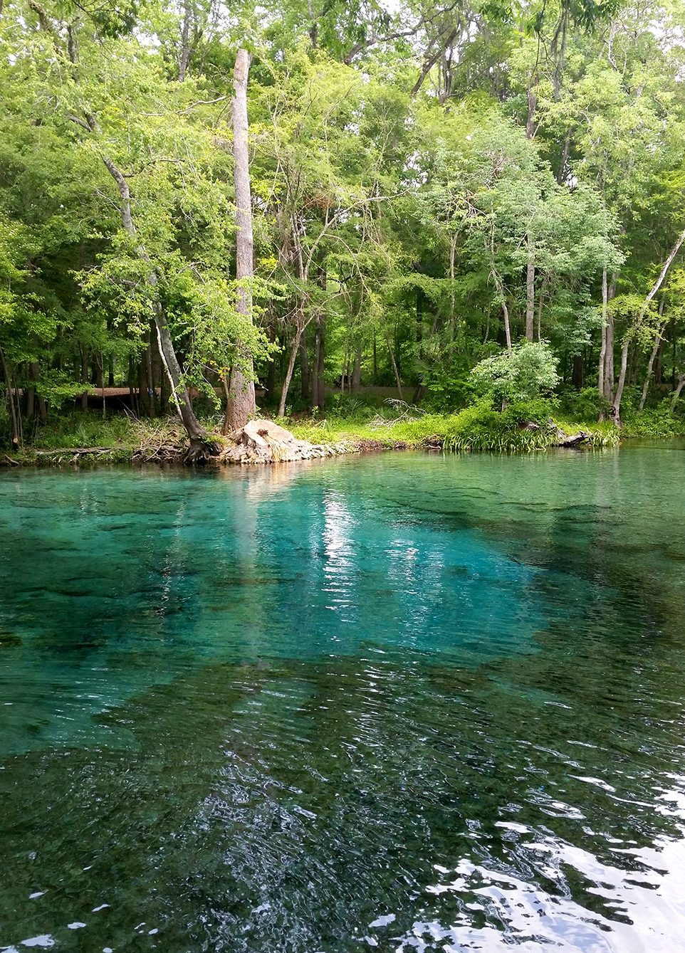 2015-04-07GinnieSprings.mainBasin.w