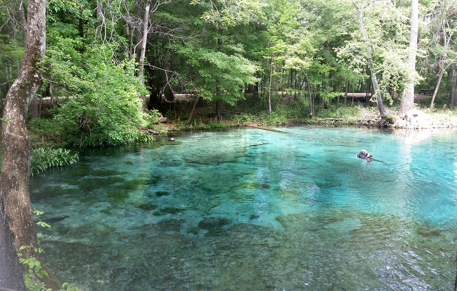 Ginnie Springs, Santa Fe River Tubing Adventure {Road Trip Series}