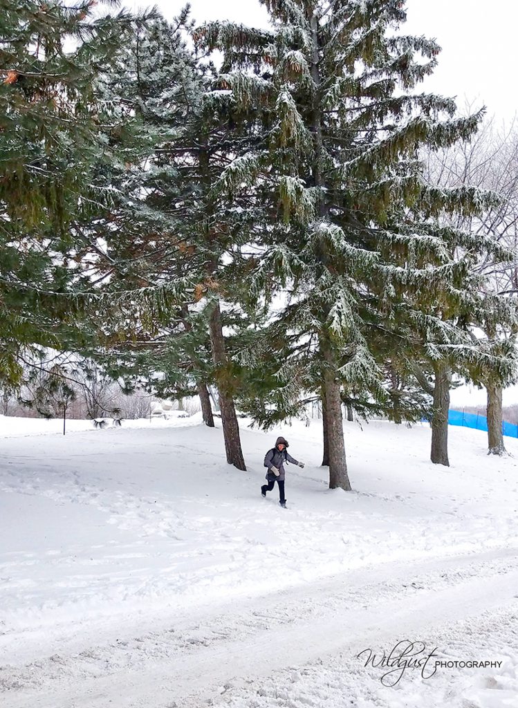 ParcMontRoyal.Montral.Canada