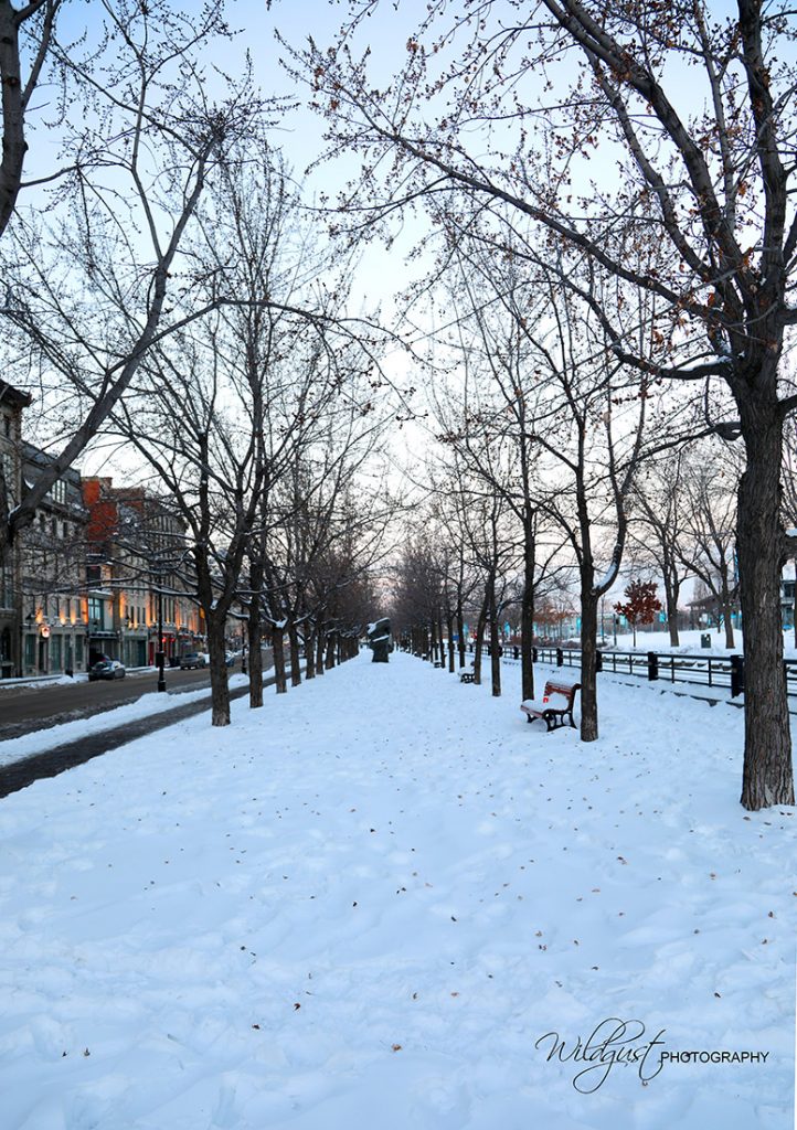 Vieux Montreal Old Port, Canada