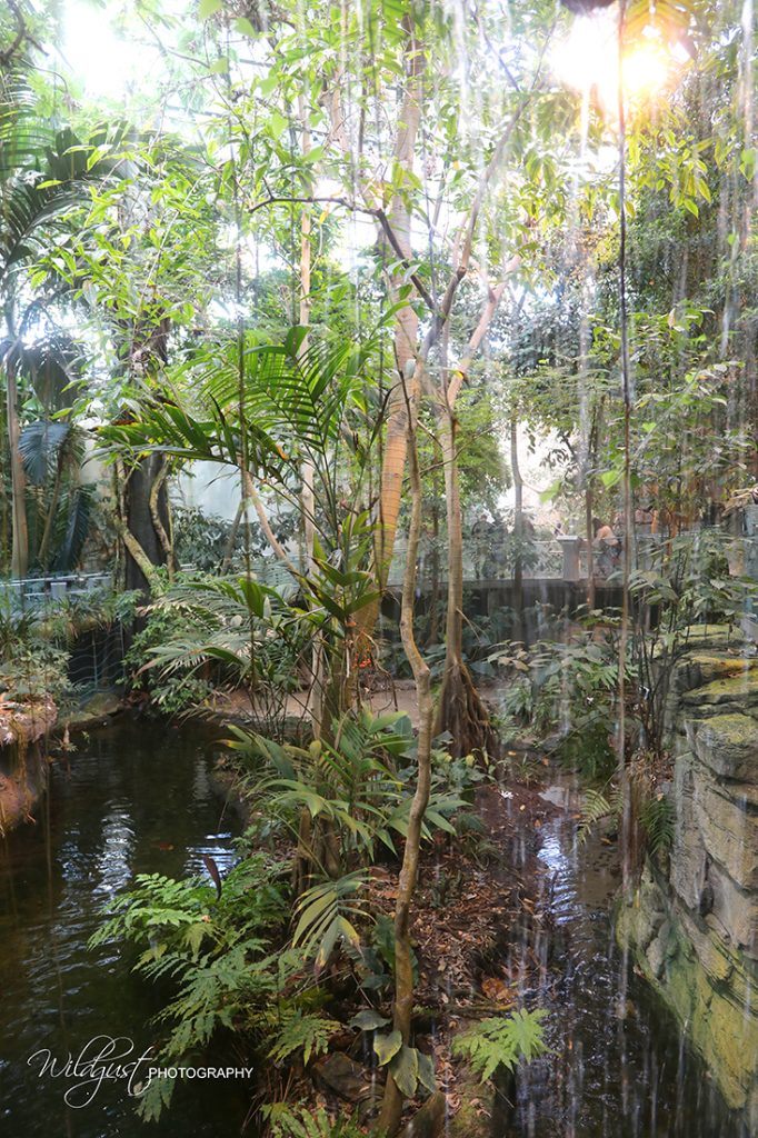 Biodome Montreal, Canada