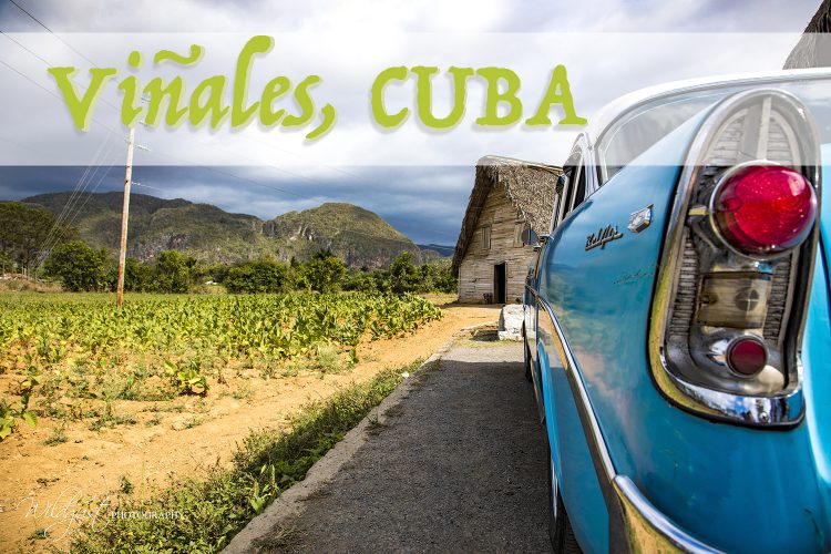 Cuba.Vinales